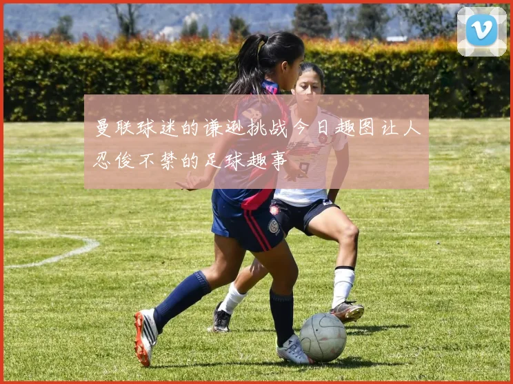 曼联球迷的谦逊挑战今日趣图让人忍俊不禁的足球趣事