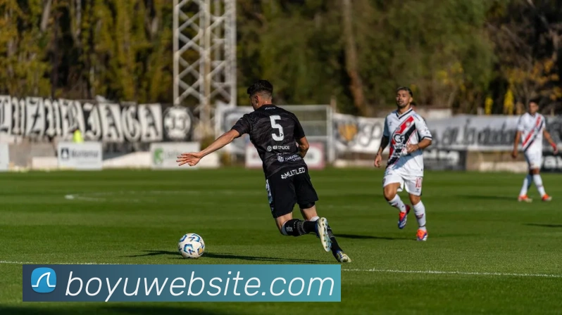 博鱼体育平台生态图