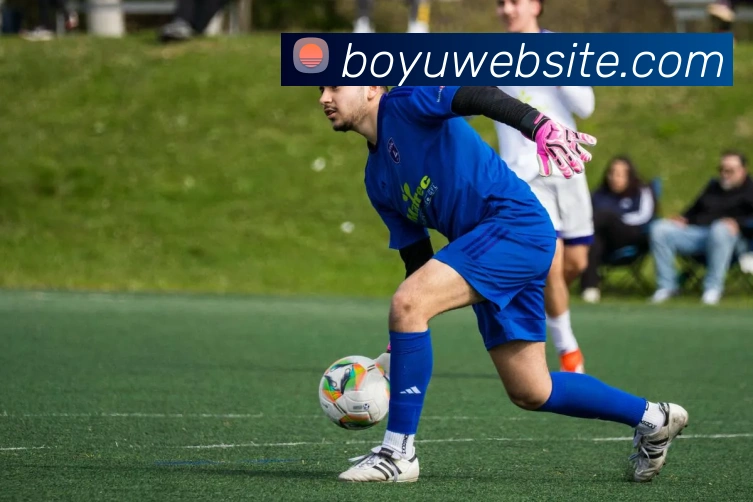 博鱼体育APP 封面图