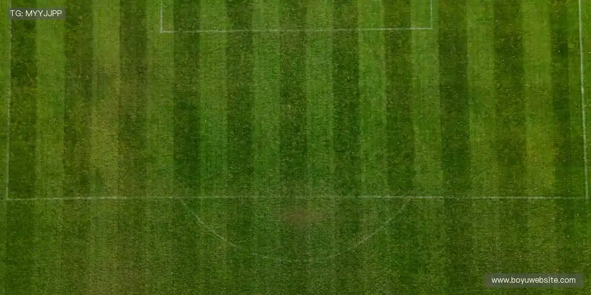 掌控全球赛事，点燃你的热血！🌍🔥