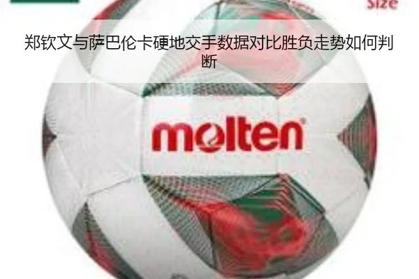郑钦文与萨巴伦卡硬地交手数据对比胜负走势如何判断 | BOYUSPORTS